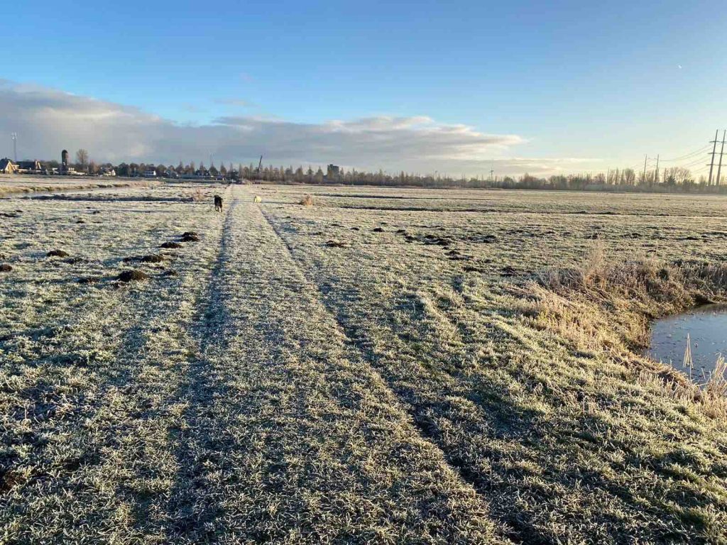 Uit de moestuin - paadje in de sneeuw