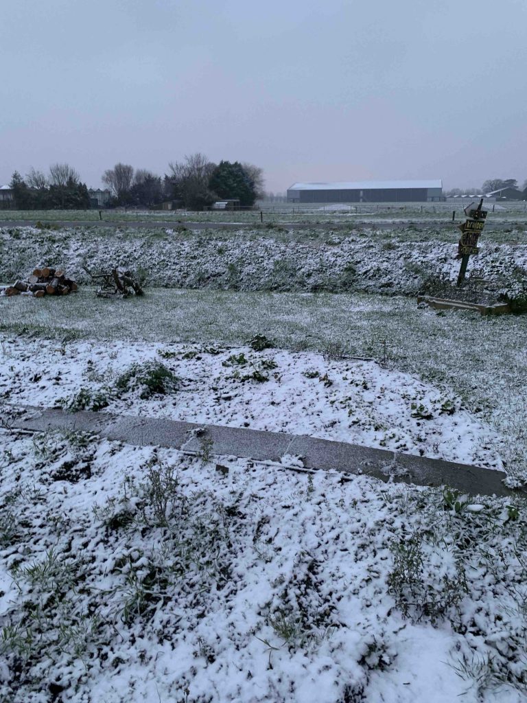 de moestuin in de sneeuw